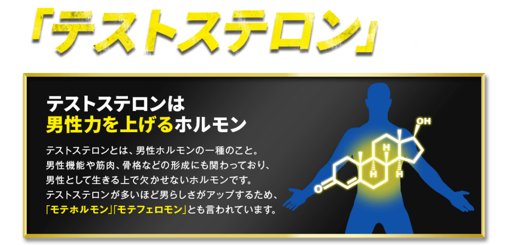 テストステロン
