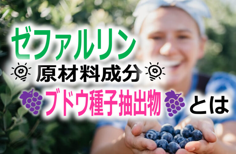 ブドウ種子抽出物