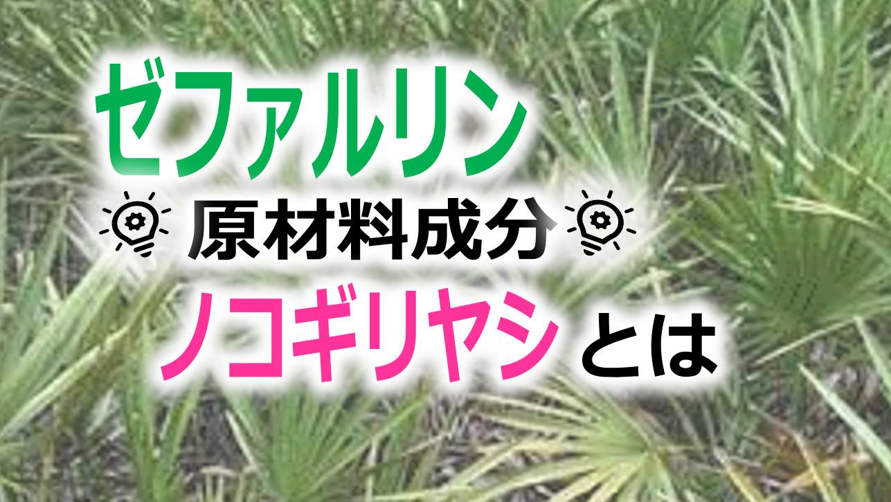 ノコギリヤシ