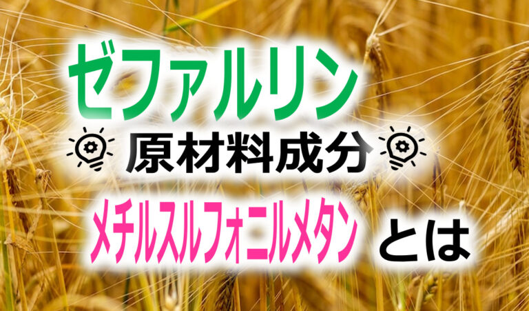 メチルスルフォニルメタン