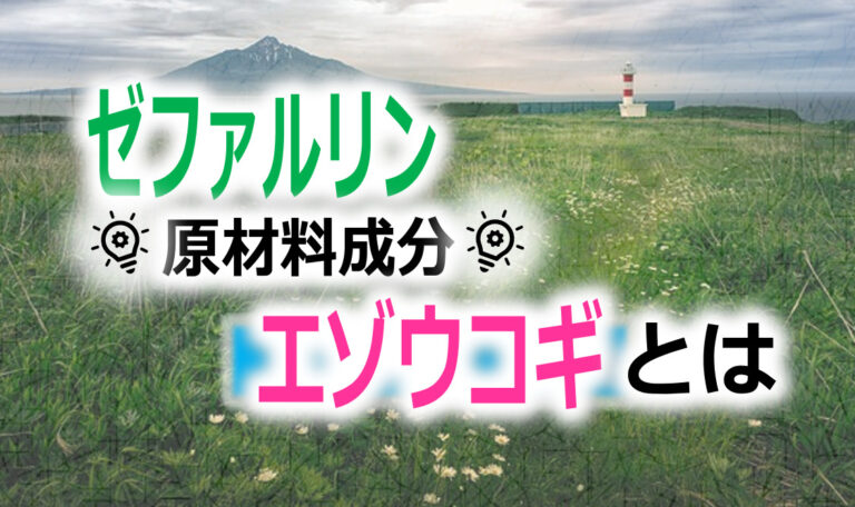 エゾウコギ