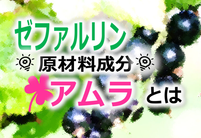 アムラとは