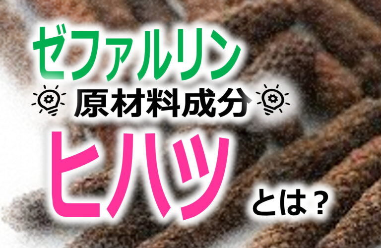 ヒハツ